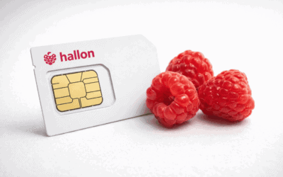 APN inställningar för Hallon